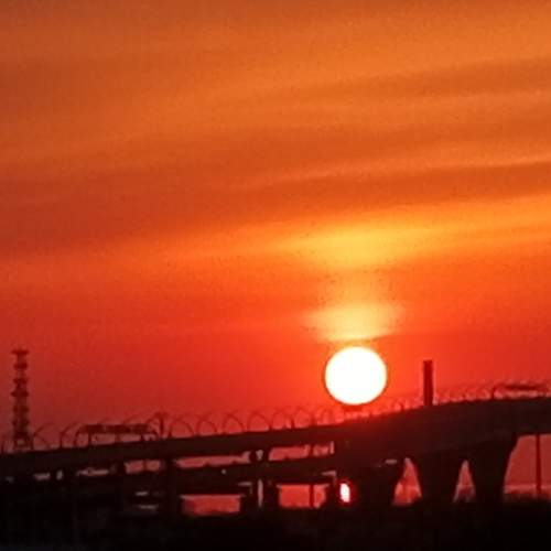 Photo #9808692