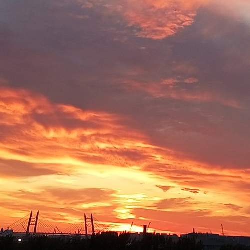 Photo #9808762