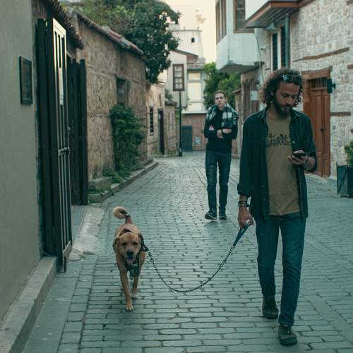 Photo #9808911