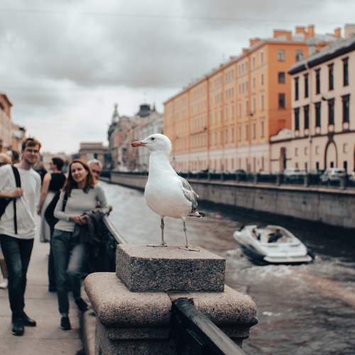 Photo #9808960