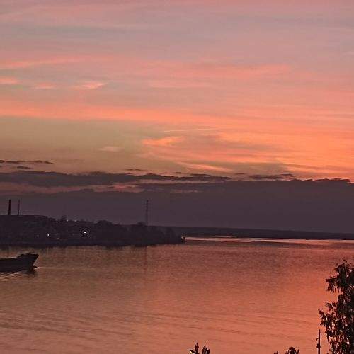 Photo #9808982