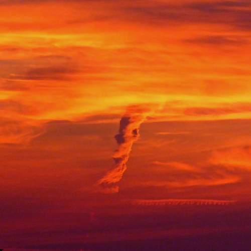 Photo #9809020
