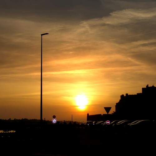 Photo #9809027