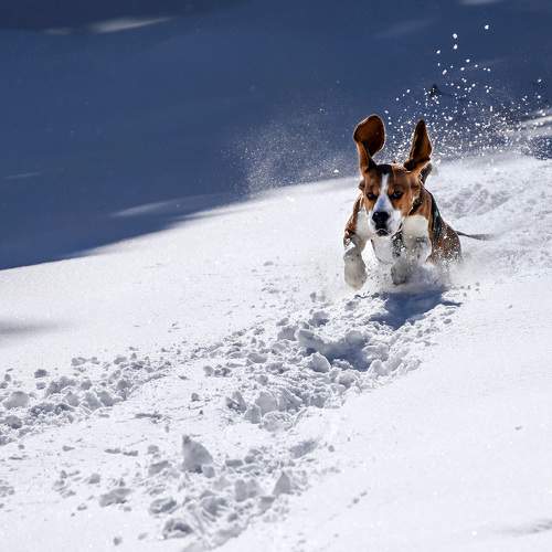 Photo #9809142