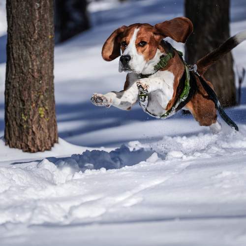 Photo #9809145