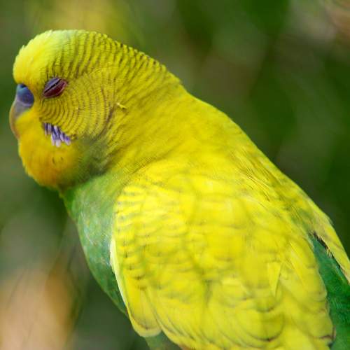 Photo #9809367