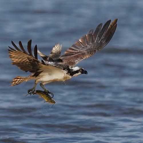 Фотография #9809721