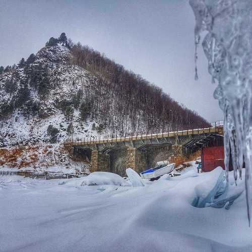 Photo #9810101
