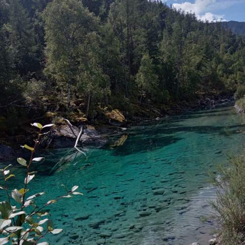 Photo #9810103