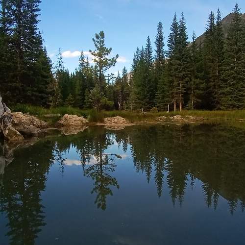 Photo #9810104