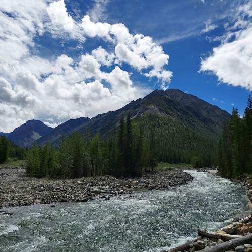 Photo #9810127