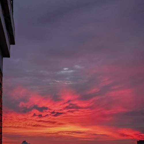 Photo #9810239