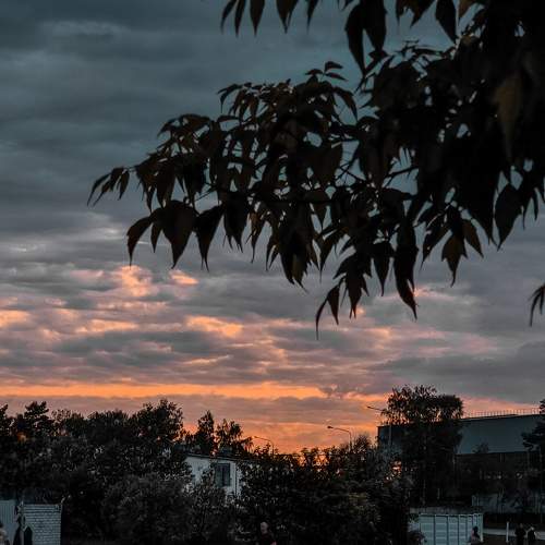 Photo #9810241