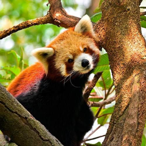 Photo #9810419