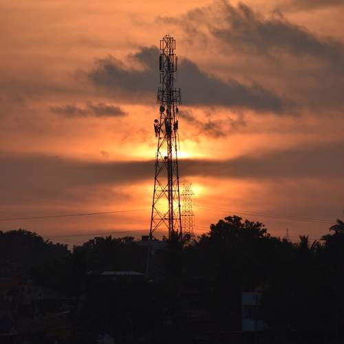 Photo #9810556