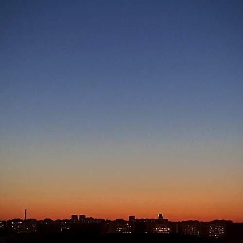 Photo #9810634