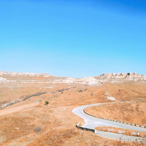 Photo #9810748
