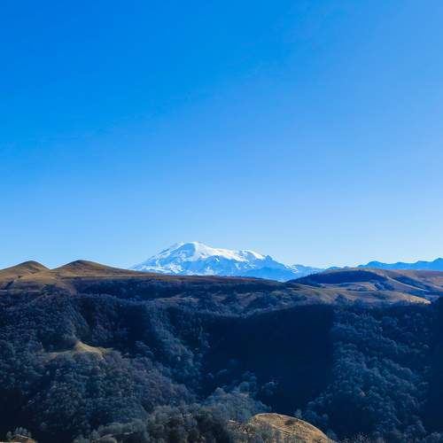 Photo #9810797