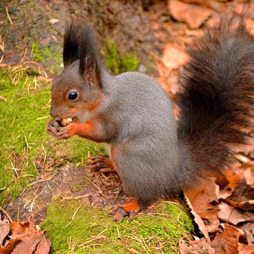 Photo #9810821