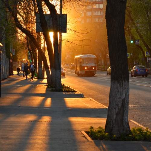 Photo #9810875