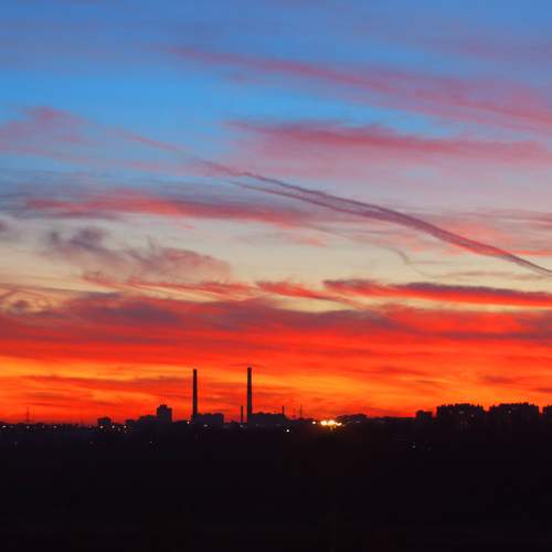 Photo #9810990