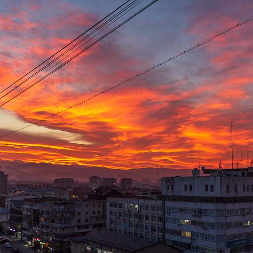 Photo #9811033