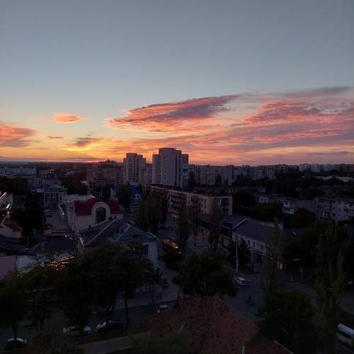 Photo #9811113