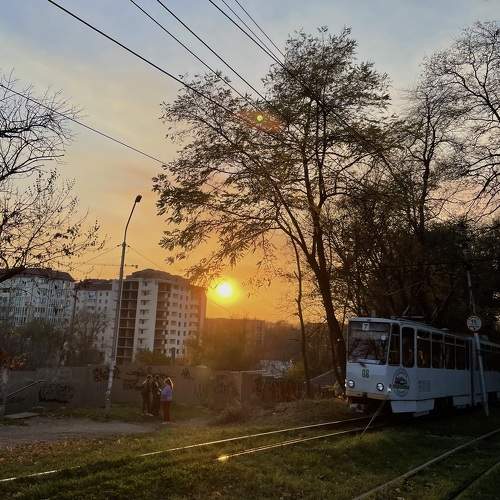 Photo #9811146
