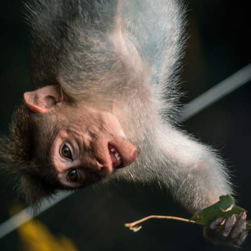 Фотография #9811150