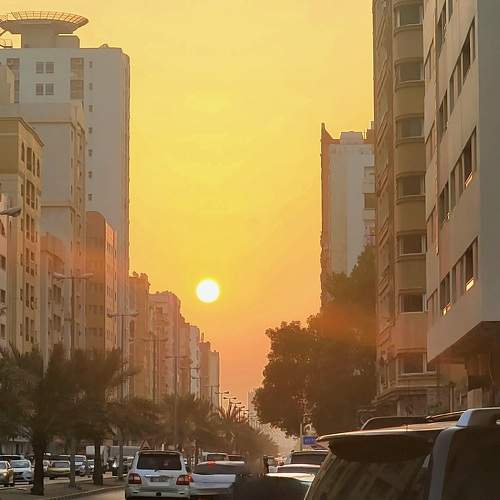 Photo #9811166
