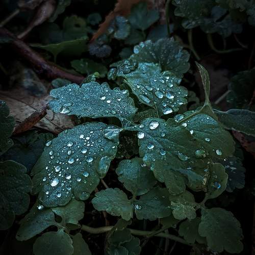 Photo #9811168