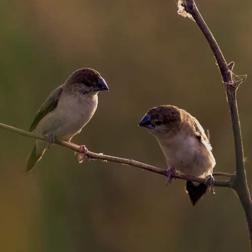 Фотография #9811233