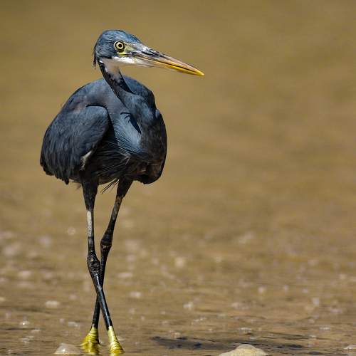 Фотография #9811287