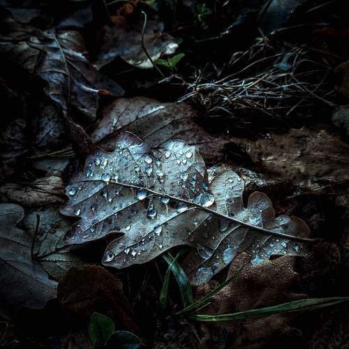 Photo #9811322