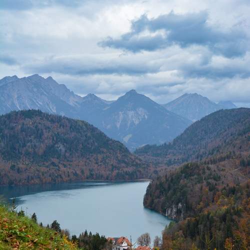 Photo #9811866