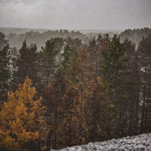 Photo #9811904