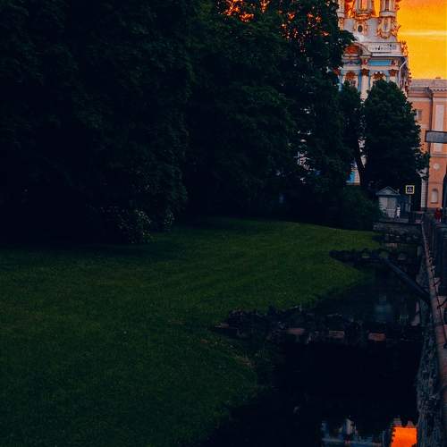 Photo #9811910
