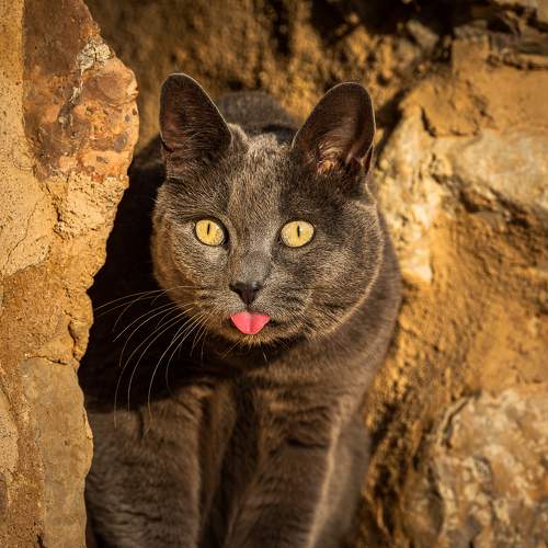 Photo #9812022