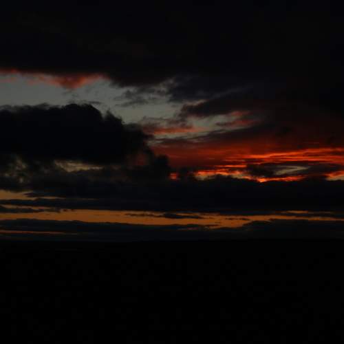 Photo #9812206