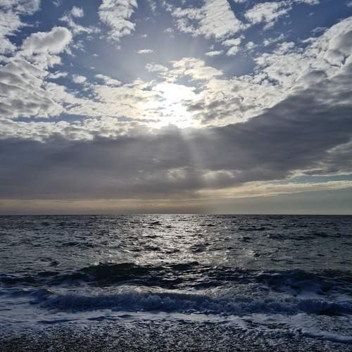 Photo #9812703