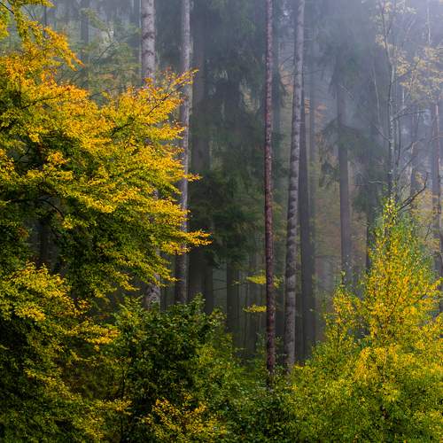 Photo #9812762