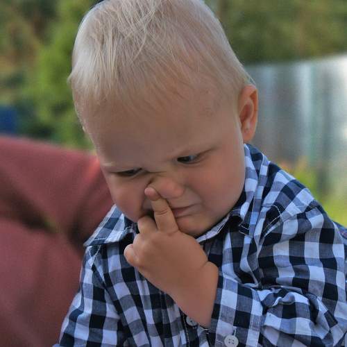 Photo #9812960