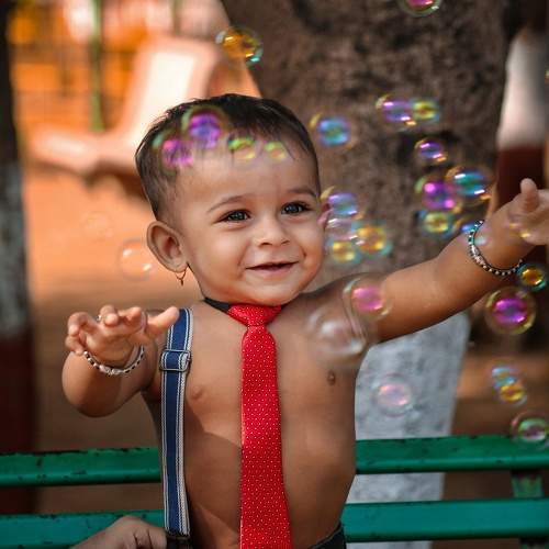 Photo #9812989