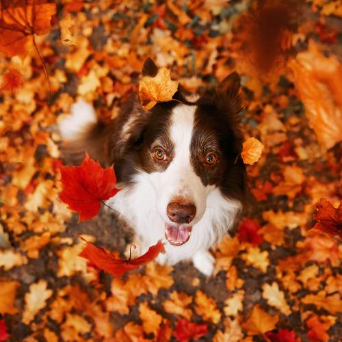 Photo #9813073
