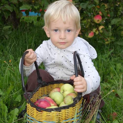 Photo #9813266
