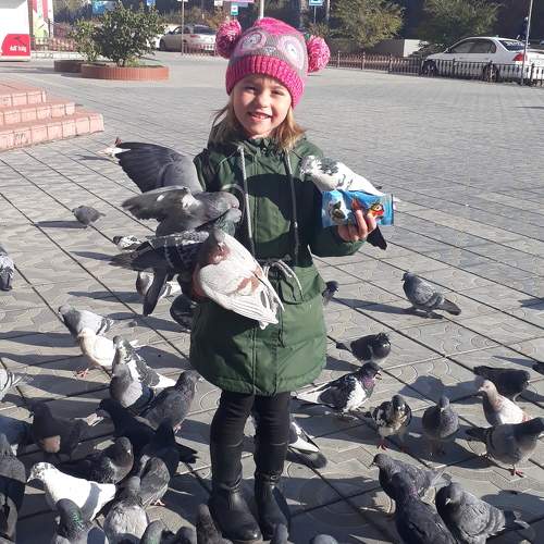 Photo #9813412