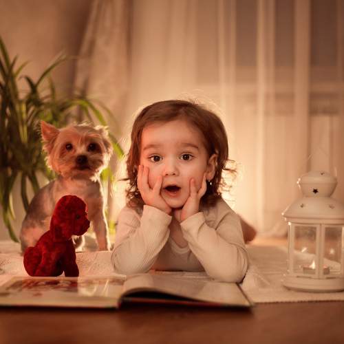 Photo #9813437