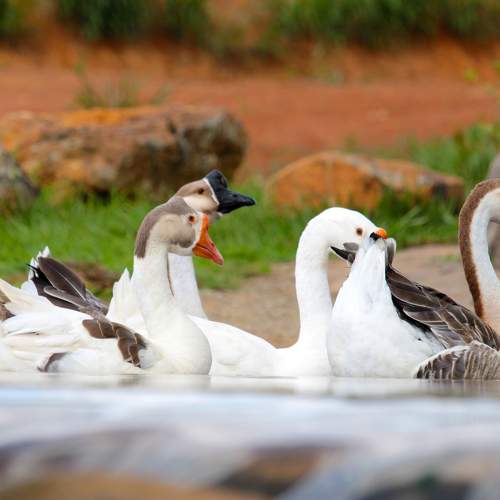Photo #9813468
