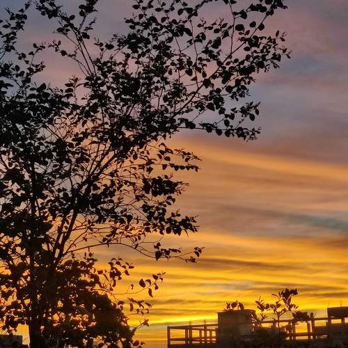 Photo #9813514
