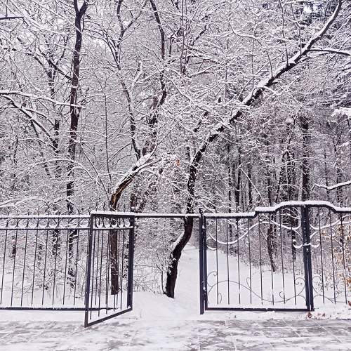Photo #9813649